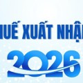 BIỂU THUẾ XUẤT NHẬP KHẨU 2026 MỚI NHẤT